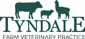 Tyndale Vets logo