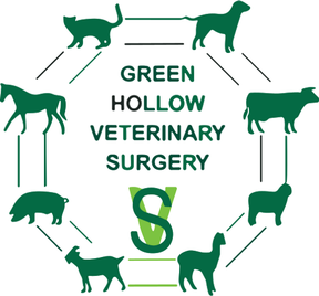 Green Hollow Veterinary Surgery - Shawbury logo