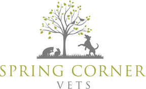 Spring Corner Vets logo