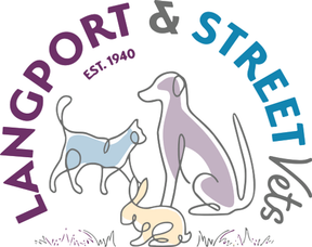 Langport and Street Vets - Street logo