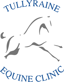 Tullyraine Equine Clinic logo
