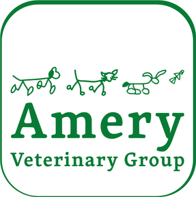 Amery Vets - Bordon logo