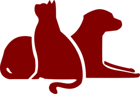 Kings Road Veterinary Surgery logo