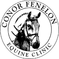 The Acorns Equine Clinic - Chelmsford logo