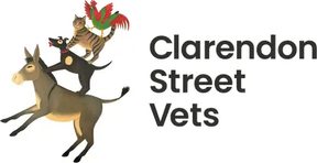 Clarendon Street Veterinary Surgery - Stapleford logo