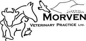 Morven Veterinary Practice - Alford logo