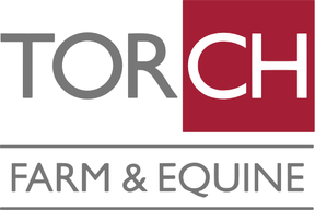 Torch Farm and Equine Vets - Roundswell logo