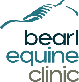 Bearl Equine Clinic logo