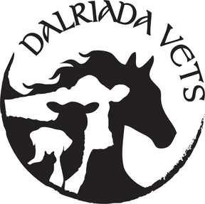 Dalriada Veterinary Surgery logo