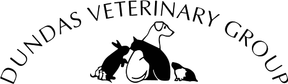 Dundas Veterinary Group - Dundas Street logo