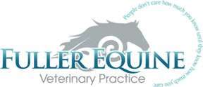 Fuller Equine Veterinary Practice logo