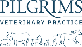 Pilgrims Vets - Fordingbridge logo