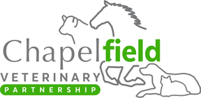 Chapelfield Vets - Brooke logo