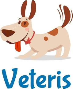 Veteris logo