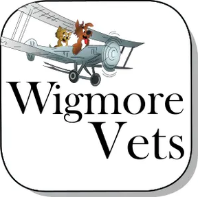 Wigmore Vet Centre logo