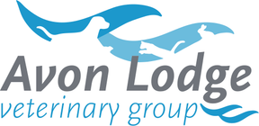 Avon Lodge Vets - Amesbury logo