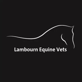 Lambourn Equine Vets logo