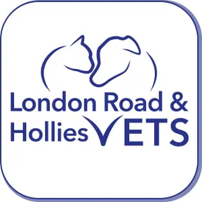 London Road Vets - Downham Market logo