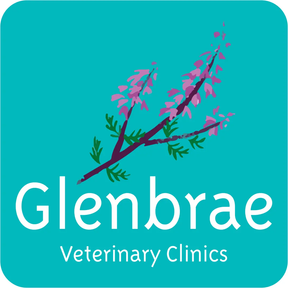 Glenbrae Vets - Bearsden logo