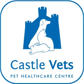 Castle Vet Hospital - Reading logo