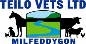 Teilo Vets - Llandeilo logo