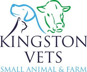 Kingston Veterinary Group - Sherborne logo
