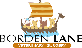 Borden Lane Vets logo