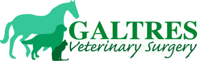 Galtres Veterinary Surgery logo