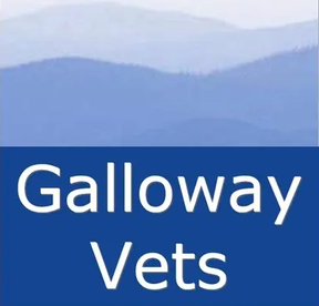 Galloway Vets logo