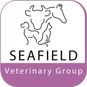 Seafield Vet Group - Banff logo