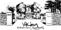 Viking Vets logo