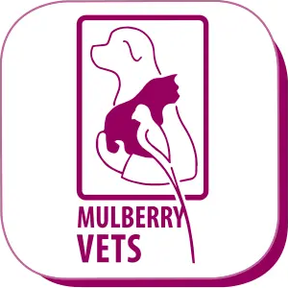 Mulberry Vets logo