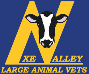 Axe Valley Large Animal Vets logo