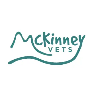 https://cdn.vetverified.com/logos/05b956c3bf045682a378b63ab3e7a24fda876dccd67fc54de8415390e2bebf04.webp logo