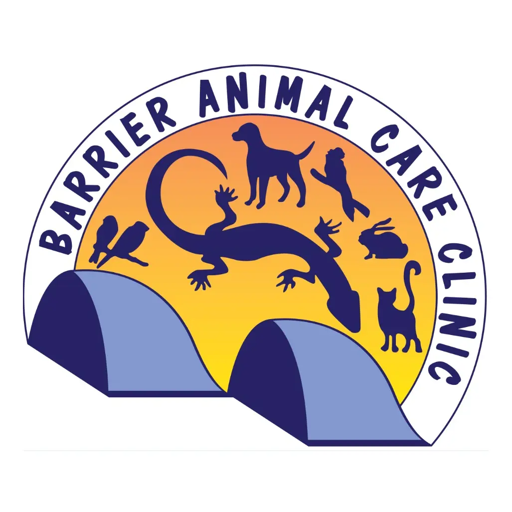 https://cdn.vetverified.com/logos/0b34d05a5992a65b0331d1fe032f8d712f736c72ddbcf2b5e1fbc71de1e703cc.webp logo