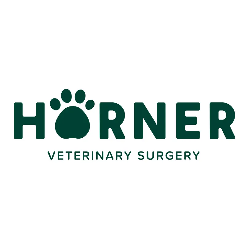 https://cdn.vetverified.com/logos/127545a30919f32e88efa737d07fa6e10ea3b6d5613249d3e1ac25a51f703a08.webp logo