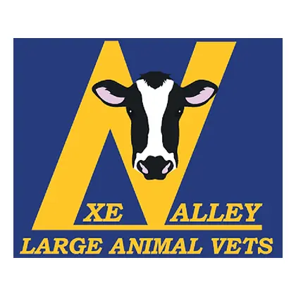 https://cdn.vetverified.com/logos/13679e925d6e3c97536cb04250af031c29e56910006841d857f819e8d2658d06.webp logo