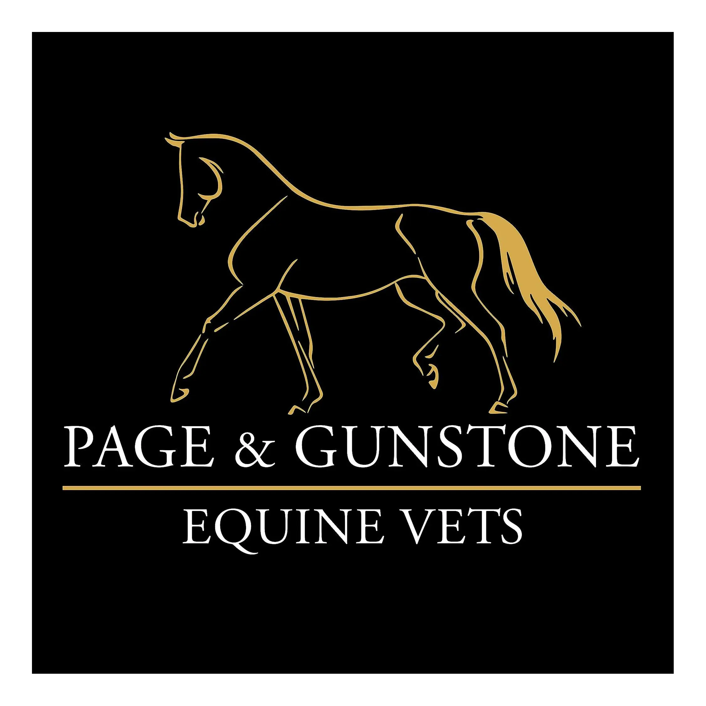 Page & Gunstone Equine Vets