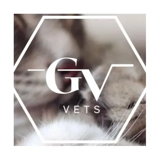 Golden Valley Vets - Long Ashton