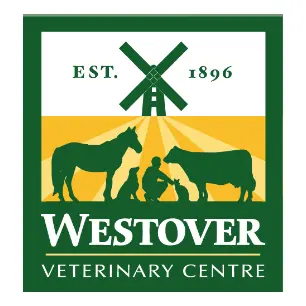 https://cdn.vetverified.com/logos/1f122dc5e80a2395fbc8018dcab001a56223b7a49e867009a37ccde99ecfcbe6.webp logo