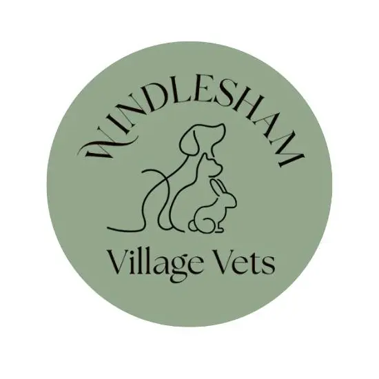 https://cdn.vetverified.com/logos/201087d1389bc7213570f5c25cf8162d4b562a4dc07e494278407daaf5c67121.webp logo