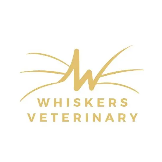 https://cdn.vetverified.com/logos/20edc72745f08a25db71492b718613f8b4c2c6d104d95bd8d6923487f80a96f2.webp logo