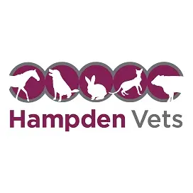 https://cdn.vetverified.com/logos/21486d723d02c5eebf510023aee3bdb05bb1b0ec219c2b72f06e7559e9c40b63.webp logo