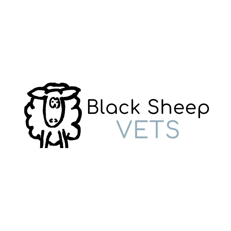 https://cdn.vetverified.com/logos/232e34fe52b923340e6e7c3154bcef764b671e9262580db62caa6d2013105fb3.webp logo