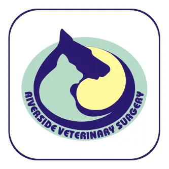 https://cdn.vetverified.com/logos/237f25a7b427d5f57376544dbab38d28dc9ab34776b166edf8ad732c8ec1e096.webp logo