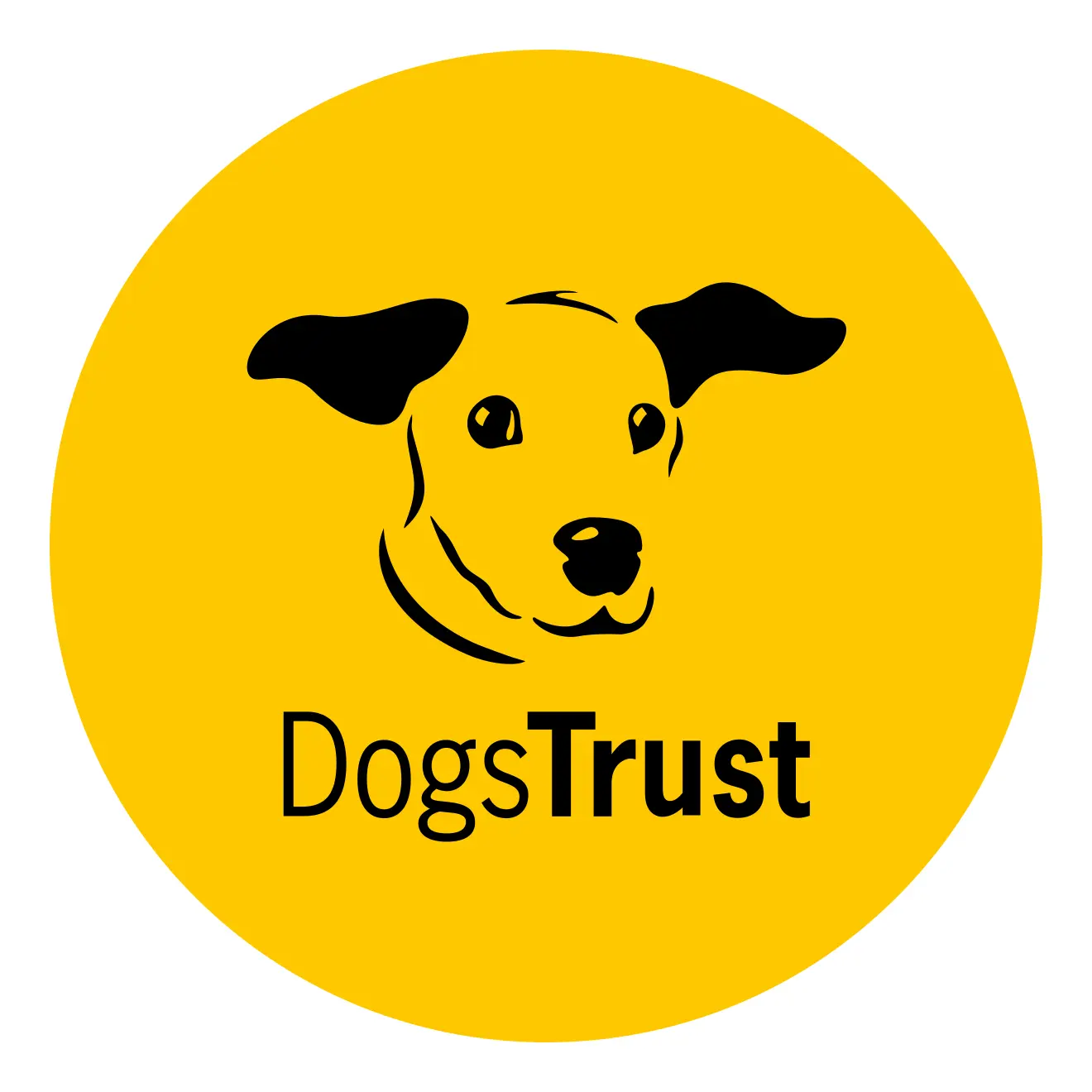 https://cdn.vetverified.com/logos/267234e0077d9dd2fe875b1a32ad234c19ffbc078bcdc493b5bcb8929a422882.webp logo https://cdn.vetverified.com/logos/267234e0077d9dd2fe875b1a32ad234c19ffbc078bcdc493b5bcb8929a422882.webp logo