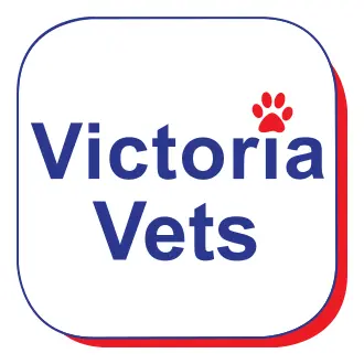 https://cdn.vetverified.com/logos/28bb51ce0413147701aba801b93cc4043bb8cfc6ae176bbfa375ffbb48ad3da7.webp logo