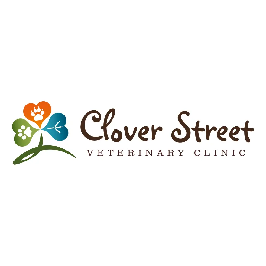 https://cdn.vetverified.com/logos/2b22abc6d945a0919283a93361db19b76290d3920fa637cecd278b3ece5dd2bb.webp logo