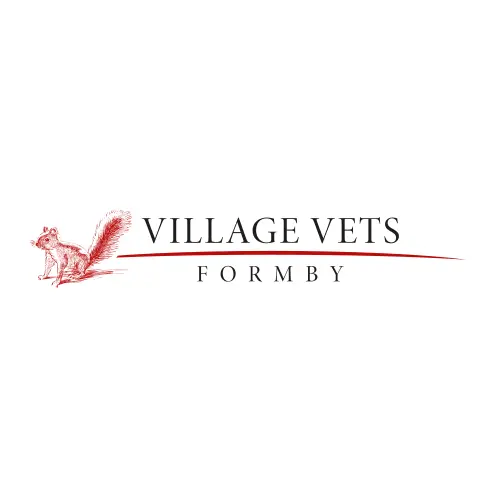 https://cdn.vetverified.com/logos/2fcd1ceeb91052250fe40fbf5e97d8037d91578924b0b77140466d78612d008b.webp logo