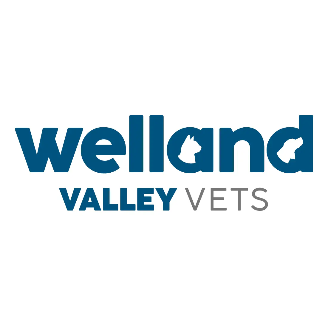 https://cdn.vetverified.com/logos/3435c4af4609faf91060da86e872d82b42c2d3be86cfed679ebae91faddd5c28.webp logo